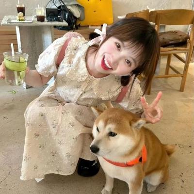小布什传
